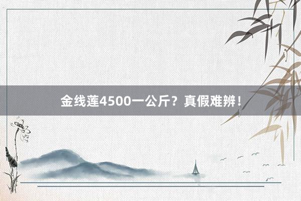 金线莲4500一公斤？真假难辨！